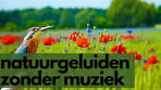 natuur muziek